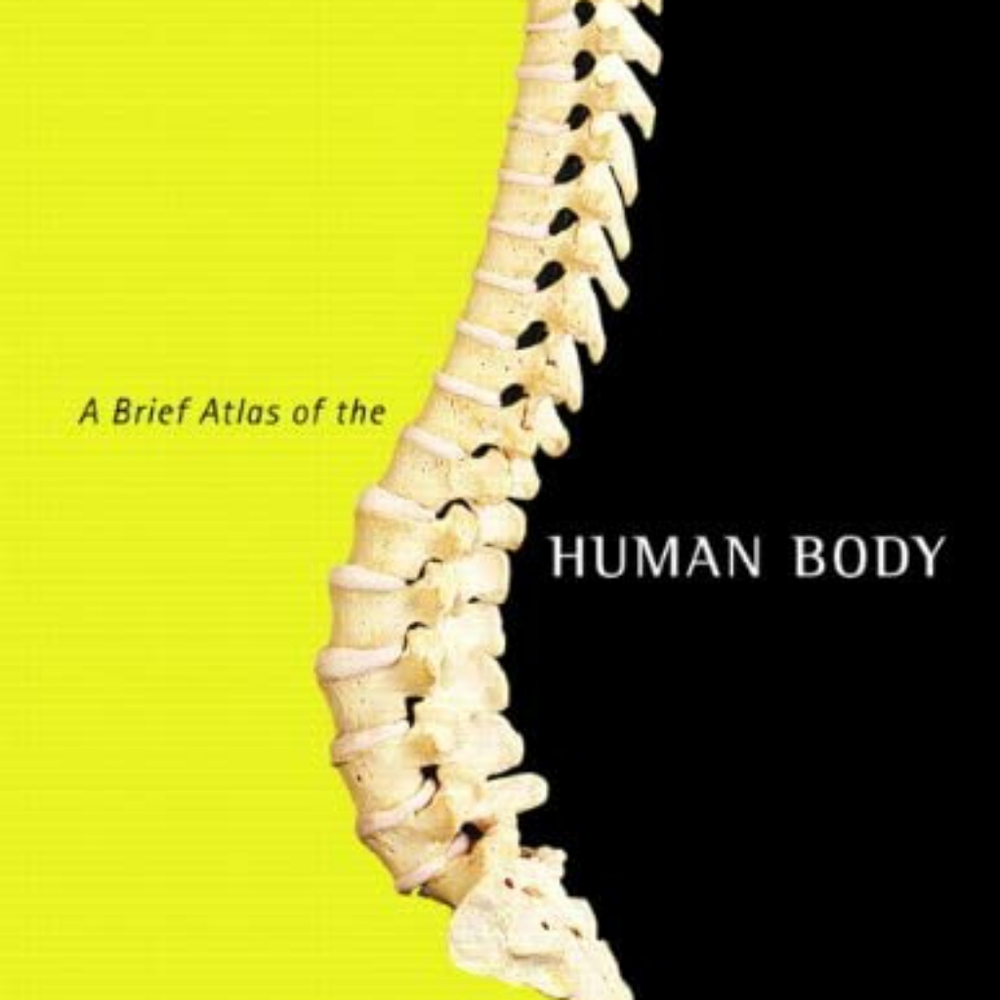 A Brief Atlas of the Human Body 2nd Edition Pearson